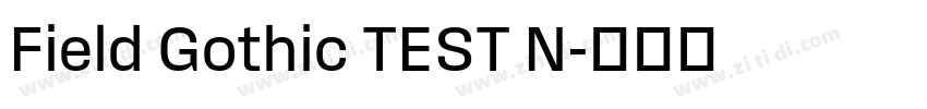 Field Gothic TEST N字体转换